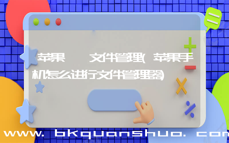 苹果  文件管理(苹果手机怎么进行文件管理器)